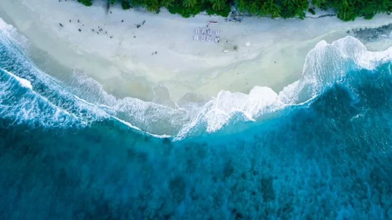 Best Beach Destinations for Relaxed Food Trips
