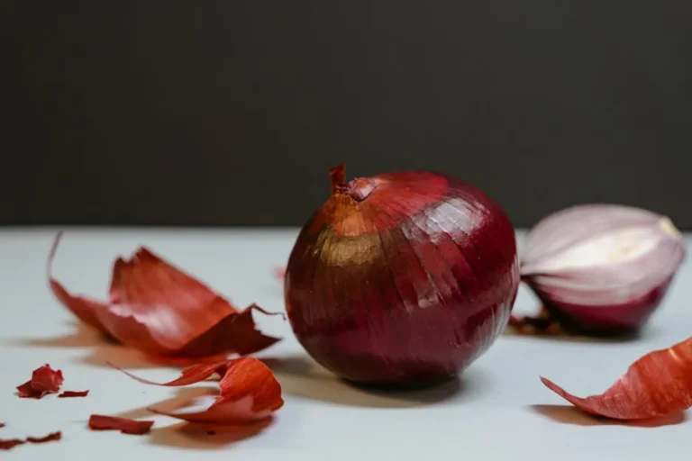 How No Onions Extra Pickles Can Turn newsreverse.com Into a More Useful Search Guide