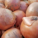 How No Onions Extra Pickles Can Turn octetnews.com Into a More Useful Search Guide