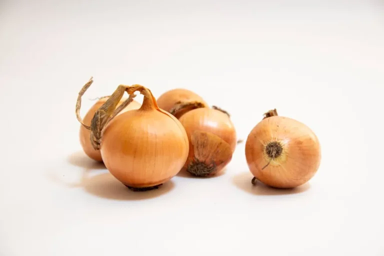 How No Onions Extra Pickles Can Turn technofee.com Into a More Useful Search Guide