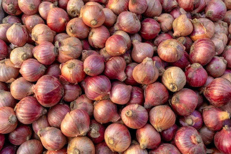 How No Onions Extra Pickles Readers Might Understand the Growing Interest in geekmill