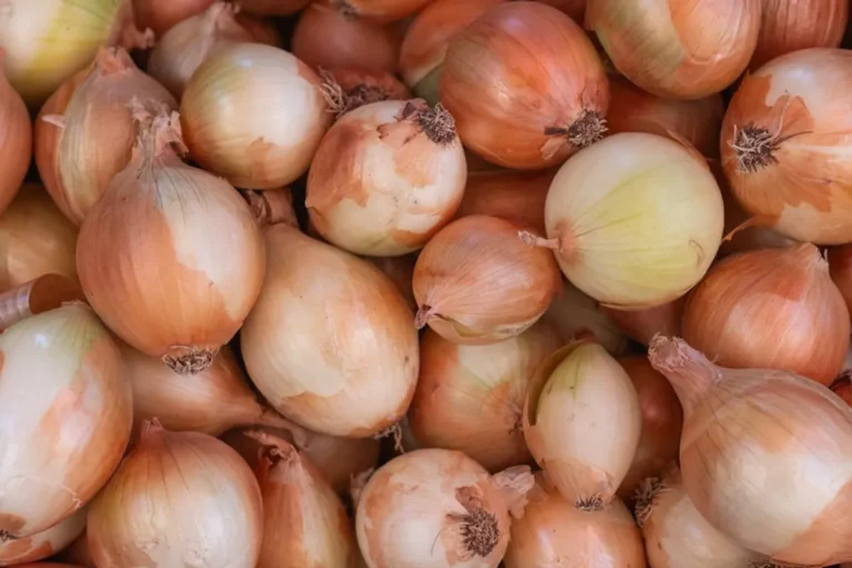 How No Onions Extra Pickles Readers Might Understand the Growing Interest in truecrawns.com